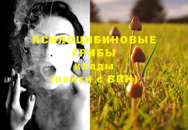мдпв Верея