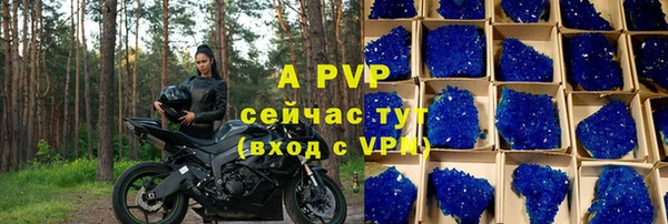 сатива Володарск