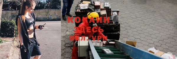 мдпв Верея