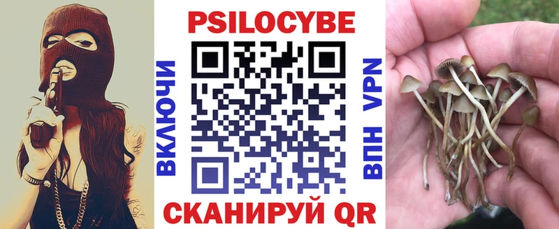 Псилоцибиновые грибы прущие грибы сколько стоит Карачаевск